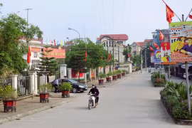 Hanoi targets 10 new-style rural districts in 2020
