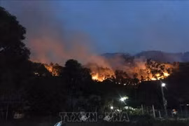 Forest fires a burning problem during dry season