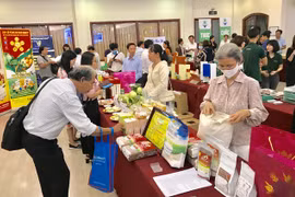 Vietnam continues institutional reform as part of EVFTA commitment