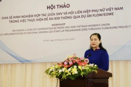 Netherlands-funded project helps promote Women’s economic empowerment 