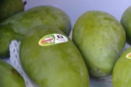 Son La province expands organic farming