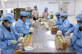 EVFTA brings myriad opportunities for Vietnam exporters: official