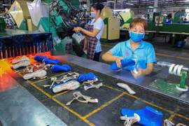 Binh Duong overfulfills yearly FDI attraction goal 