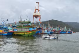ASEAN maritime cooperation reaps fruits amidst COVID-19 