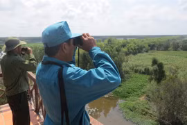 Tram Chim National Park’s endangered birds need protection as habitats shrink