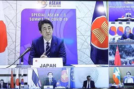 Japan hails significance of strengthening ASEAN+3 cooperation against COVID-19