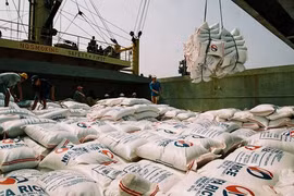 Agro-forestry-fishery enjoys 6.2 billion USD trade surplus