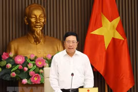 Deputy PM calls for selective FDI attraction
