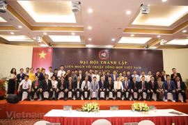 Vietnam Mixed Martial Arts Federation debuts