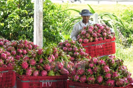 Vietnam – Japan trade up 8.6 percent in two months