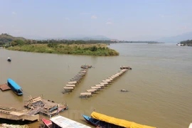 Vietnam ready to join hands to use Mekong River’s water resources sustainably