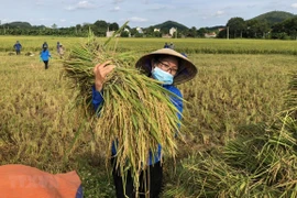 Vietnam sets 17 sustainable development goals to 2030