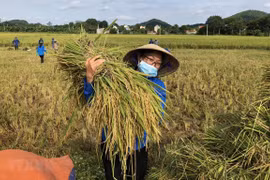 Vietnam sets 17 sustainable development goals to 2030