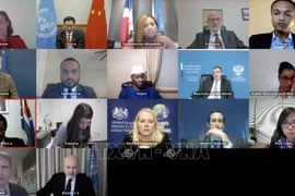 Vietnam welcomes UNITAD’s investigation achievements despite COVID-19