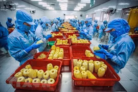 Exporters advised to further tap into European market