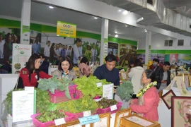 Hanoi recognises 630 OCOP products over last 3 years