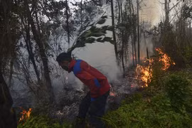 Indonesian President orders long-term solution to forest fires 