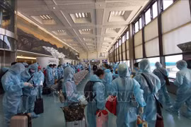 Over 340 Vietnamese citizens flown home from Taiwan
