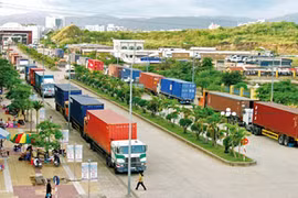 Business licences to be required for internal transport