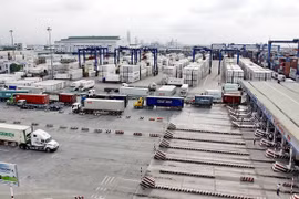 EVFTA expected to create great pressure on domestic logistics firms