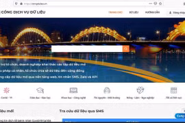Da Nang pilots database on COVID-19 patients 