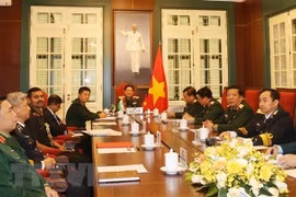 Vietnam, India defence ministers hold online talks