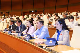 NA adopts resolution on State budget estimate in 2021