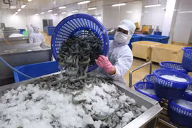 Agro-forestry-fishery exports still have room to grow: minister