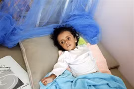 Vietnam calls for joining hands in preventing famine in Yemen 