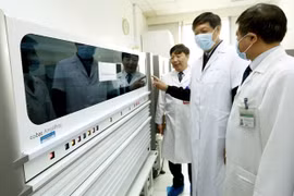 No cases of acute pneumonia caused by nCoV in Vietnam