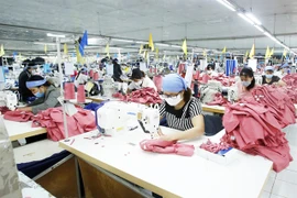 Vietnam needs to develop raw materials production to take advantage of EVFTA