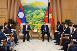 Vietnam, Laos determined to foster comprehensive cooperation