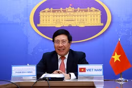 Vietnamese, Malaysian foreign ministers hold virtual talks