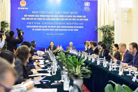 UN pledges more support to Vietnam in climate change response 