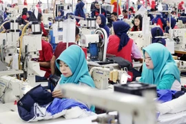 FDI into Indonesia falls in Q1