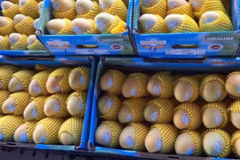 Cambodia to export 500,000 tonnes of mangoes to China annually