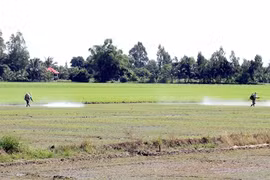Country’s largest rice producer expands advanced farming models