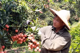 Export target of over 41 billion USD within reach: Agricultural sector