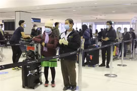 Over 340 Vietnamese citizens brought home from Australia