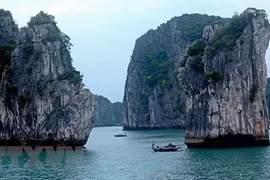 Quang Ninh approves tourism stimulus package worth nearly 8.6 million USD 