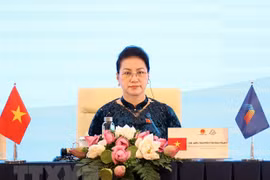 Vietnamese National Assembly and practical initiatives within AIPA 41