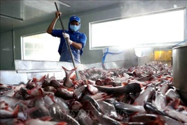 US cuts anti-dumping taxes on Vietnamese catfish products