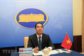 Vietnam-Kazakhstan political consultation held