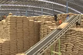 Thailand moves to reclaim world biggest rice exporter spot