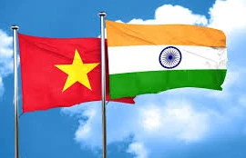 30 years of Vietnam – India friendship association in HCM City marked 