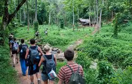 Cambodia earns over 25 million USD from ecotourism in nine months