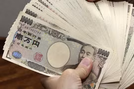 Indonesia raises 930 mln USD in Samurai bonds to fund pandemic response