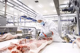 Agro processing gets tidal wave of investment 
