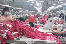 Bac Giang works to generate more jobs