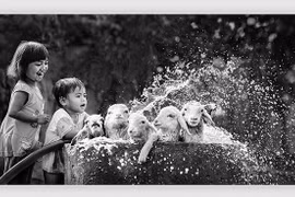 Balkan Exhibition honours Vietnamese photographers